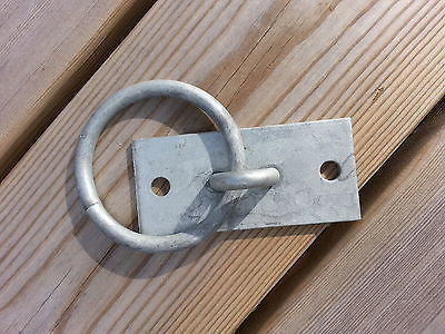 manger ring on heavy duty plate fixing tie rope horse dog animal tether bondage
