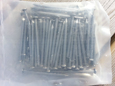 500gms x 65mm x 3.35mm bright round wire head nails