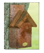 Robin Bird Nest Box made in Spruce Wood
