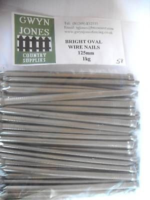 1kg x 125mm (5") BAG OF BRIGHT OVAL WIRE NAILS