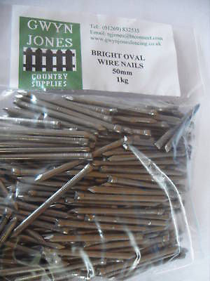 1kg x 50mm (2") BAG OF BRIGHT OVAL WIRE NAILS