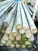 3.6m x 100mm Machine Rounded Rails Horse Jump Treated
