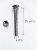 M6 x 50 cup square bolt with nut zinc plated