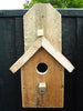 small bird nest nesting box house tit sparrow robin