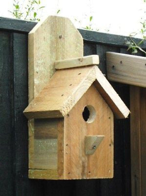 small bird nest nesting box house tit sparrow robin